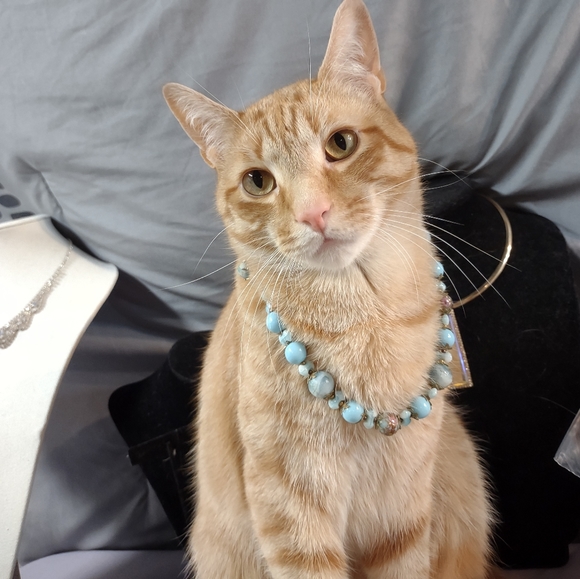 Jewelry - YOU could looks this fabulous too!